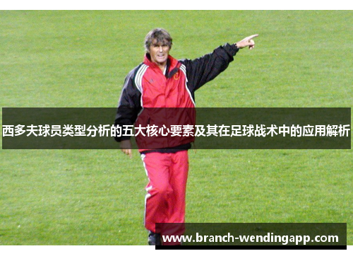 西多夫球员类型分析的五大核心要素及其在足球战术中的应用解析