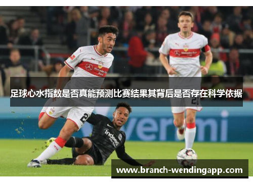 足球心水指数是否真能预测比赛结果其背后是否存在科学依据