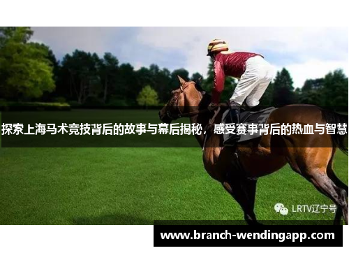 探索上海马术竞技背后的故事与幕后揭秘，感受赛事背后的热血与智慧