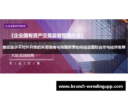 推动高水平对外开放的实用指南与策略探索如何促进国际合作与经济发展