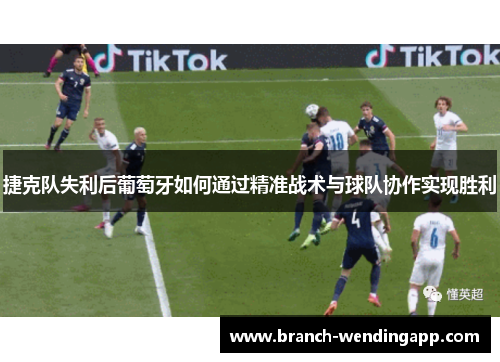 捷克队失利后葡萄牙如何通过精准战术与球队协作实现胜利