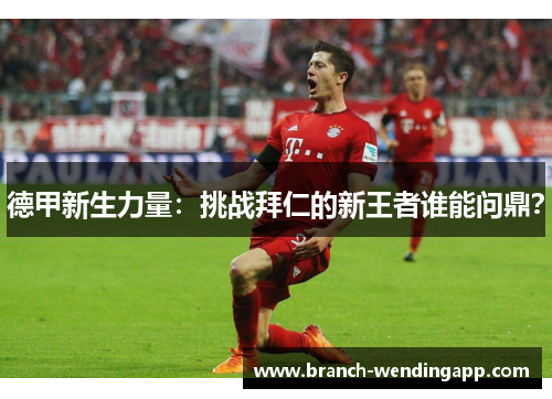 德甲新生力量：挑战拜仁的新王者谁能问鼎？