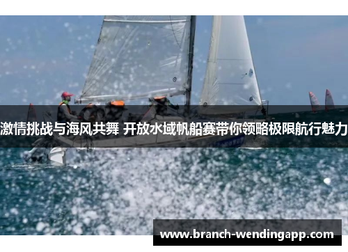 激情挑战与海风共舞 开放水域帆船赛带你领略极限航行魅力