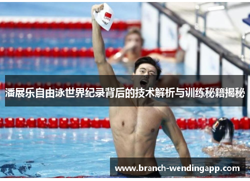 潘展乐自由泳世界纪录背后的技术解析与训练秘籍揭秘