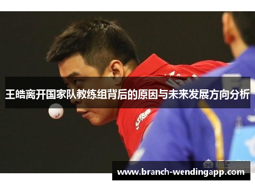王皓离开国家队教练组背后的原因与未来发展方向分析