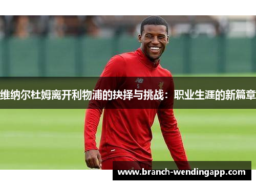 维纳尔杜姆离开利物浦的抉择与挑战：职业生涯的新篇章