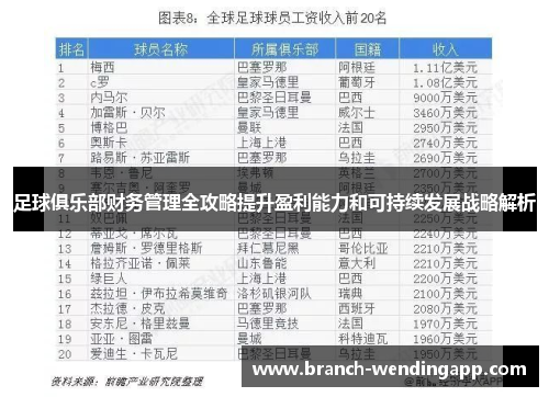 足球俱乐部财务管理全攻略提升盈利能力和可持续发展战略解析