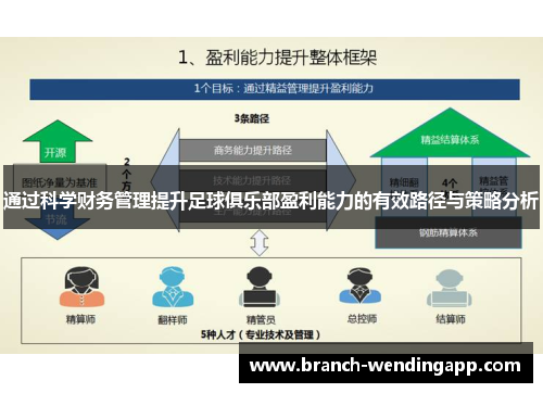 通过科学财务管理提升足球俱乐部盈利能力的有效路径与策略分析