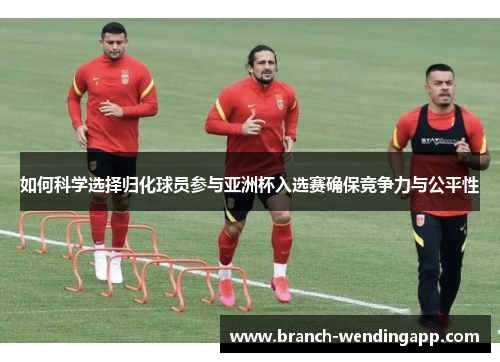 如何科学选择归化球员参与亚洲杯入选赛确保竞争力与公平性