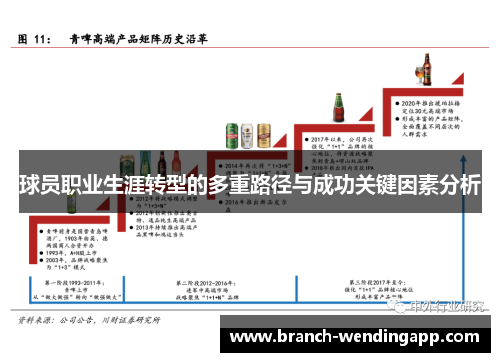 球员职业生涯转型的多重路径与成功关键因素分析