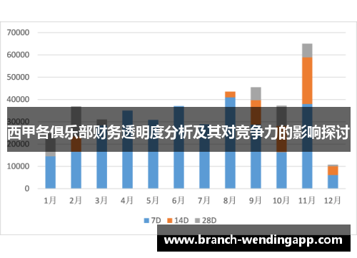 西甲各俱乐部财务透明度分析及其对竞争力的影响探讨