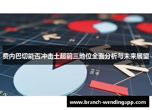 费内巴切能否冲击土超前三地位全面分析与未来展望