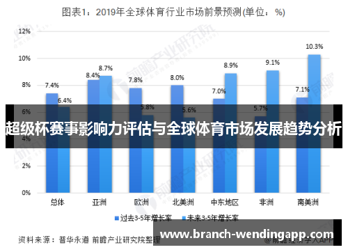 超级杯赛事影响力评估与全球体育市场发展趋势分析